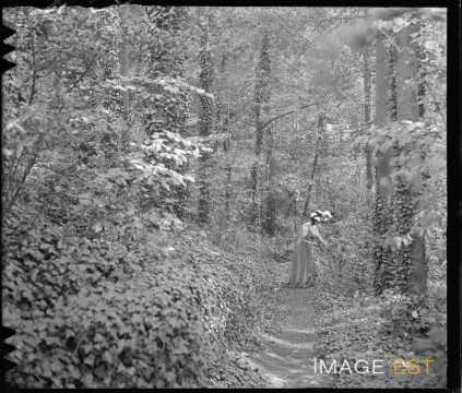 Femme sur un chemin forestier (Eulmont)